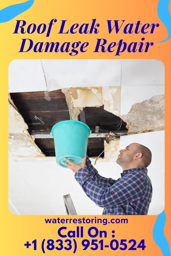 Roof Leak Water Damage Repair in Sangrey, MT